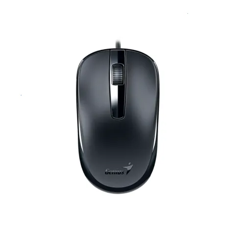 Mouse Genius DX-120,USB-C,Black (2299)